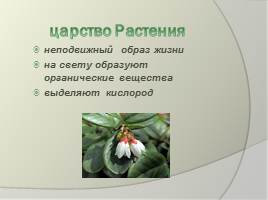 Ботаника - наука о растениях, слайд 2