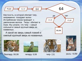 Семейство кошачьих в цифрах, слайд 10