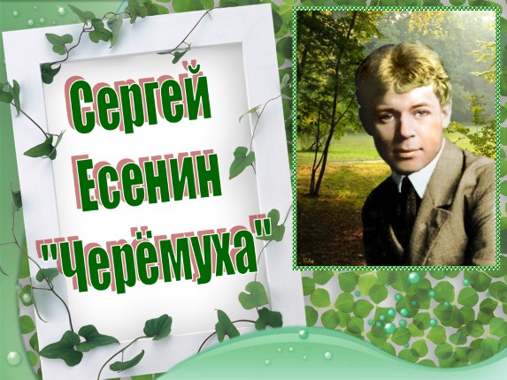 Сергей Есенин «Черёмуха»