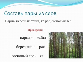 Растения леса, слайд 10