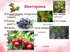Дары леса - ягоды, слайд 6
