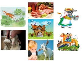 Домашние животные, слайд 7