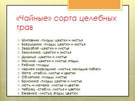 Исследовательская работа «Чай и его влияние на организм человека», слайд 49