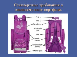 Сколько весит школьный рюкзак?, слайд 18