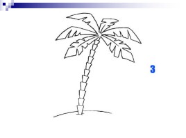 Учимся рисовать «Пальма», слайд 8