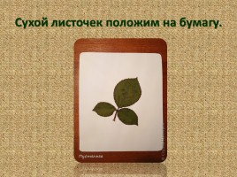 Аэрография для ребят «Сейчас будем делать вот такую красоту!», слайд 5