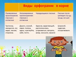 Русский язык 5 класс - Повторение и закрепление изученных орфограмм, слайд 5