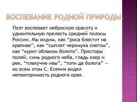 Природа родного края и образ Руси в лирике С.А. Есенина, слайд 8