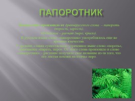 Этимология слов по теме «Растения», слайд 3