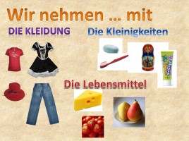 К уроку немецкого языка в 8 классе по теме «Подготовка к путешествию», слайд 31