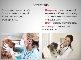 Внеклассное мероприятие по профориентации «Ветеринар», слайд 9