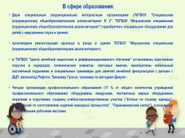Исследовательская работа «Особый ребенок и образование в России», слайд 35