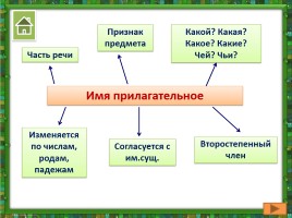 Русский язык в схемах, слайд 6