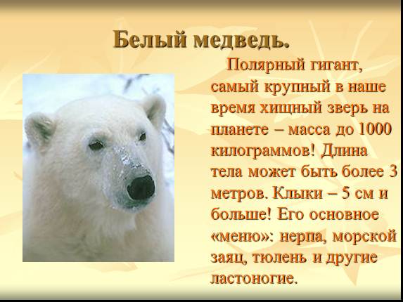 Презентация «Некоторые растения и животные, включённые в