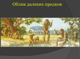 Древнейшие люди, слайд 4