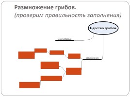 Царство Грибы, слайд 13