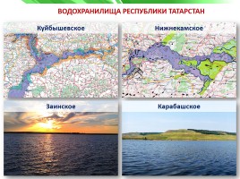Разнообразие природы Республики Татарстан, слайд 11