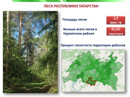Разнообразие природы Республики Татарстан, слайд 6