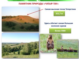 Разнообразие природы Республики Татарстан, слайд 9