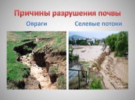 Типы почв Краснодарского края - Охрана почв, слайд 11