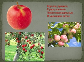 Фрукты, слайд 4