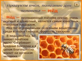 Исследование организации и продуктов жизнедеятельности пчёл в улье, слайд 9