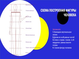 Пропорции и построение фигуры человека 7 класс, слайд 6