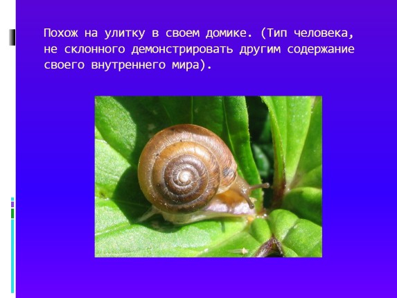 Презентация «Олицетворение - Эпитет - Метафора»