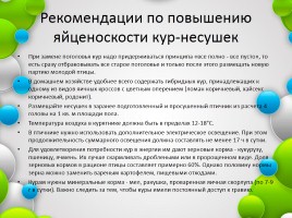 Возможные пути повышения яйценоскости кур-несушек в холодный период года, слайд 17