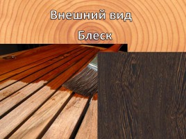 Физико-механические свойства древесины, слайд 3