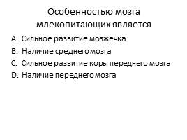 Тест «Млекопитающие», слайд 4