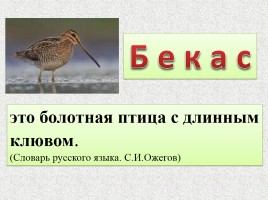 Одна и две буквы Н в суффиксах имён прилагательных, слайд 3