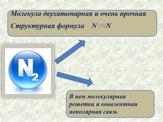Презентация «Азот»