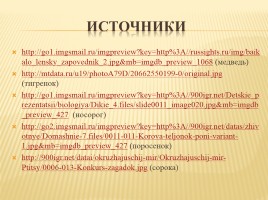 Автоматизация звуков Р и Рь, слайд 14