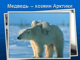 Безмолвная Арктика, слайд 18