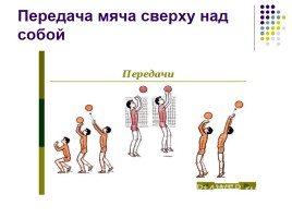 Раздел программы «Волейбол», слайд 4