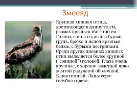 Красная книга Нижегородской области, слайд 16