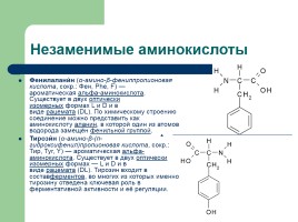 Урок химии в 10-м классе по теме «Аминокислоты», слайд 9