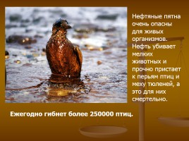 Нефть - ценный источник углеводородов или экологическая проблема, слайд 13