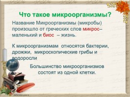 Микроорганизмы - враги или друзья?, слайд 4