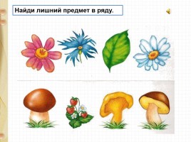 Закрепление знаний «Страничка для любознательных стр. 74-75», слайд 18