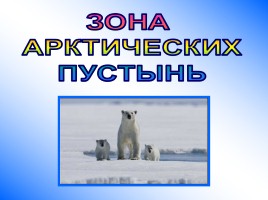 Зона Арктических пустынь, слайд 2