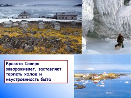 Зона Арктических пустынь, слайд 41