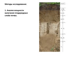 Исследовательская работа «Почва», слайд 11