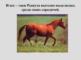 Урок-размышление «О чём плачут лошади», слайд 12