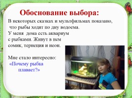 Исследовательская работа по теме: «Почему аквариумные рыбки плавают», слайд 2