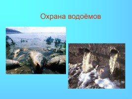 Водоёмы Краснодарского края, слайд 21