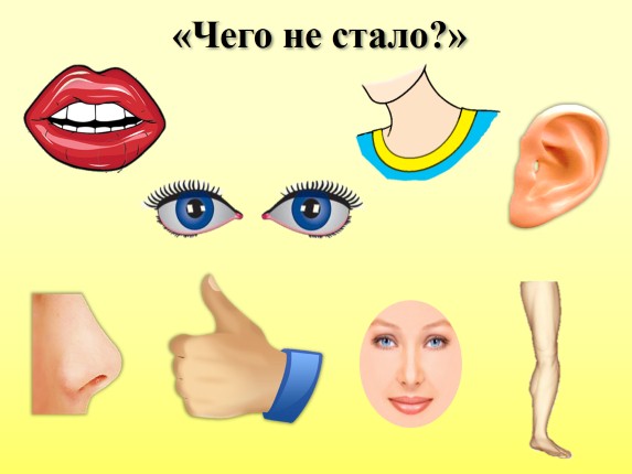 Части Тела Человека