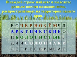 Урок окружающего мира в 3 классе «Почвы», слайд 15