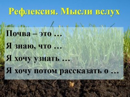 Урок окружающего мира в 3 классе «Почвы», слайд 16